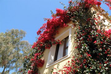 Residence Borgo degli Ulivi - Arbatax - Sardinië  